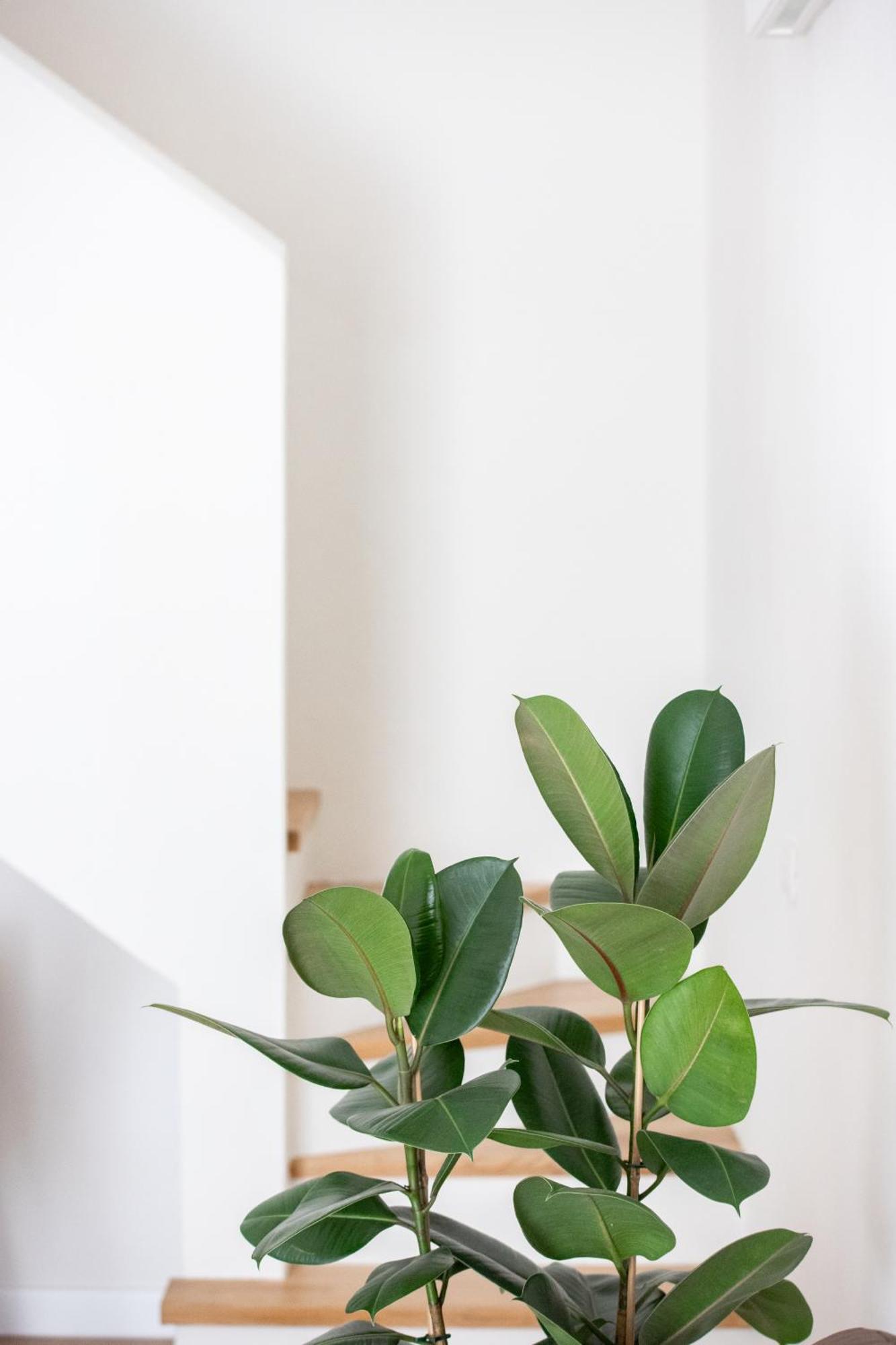 볼로냐 Santo Stefano Loft 아파트 호텔 외부 사진